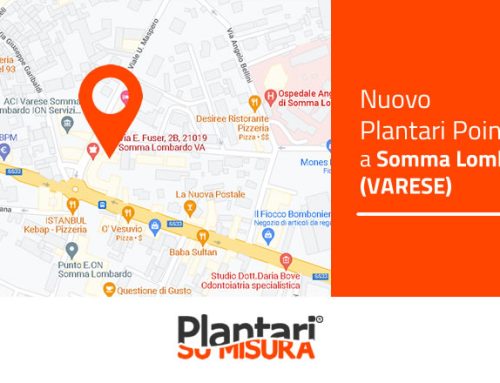 Nuovo Plantari Point a Somma Lombardo (Varese)